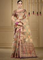 Organza Grey Traditional Wear Weaving Saree